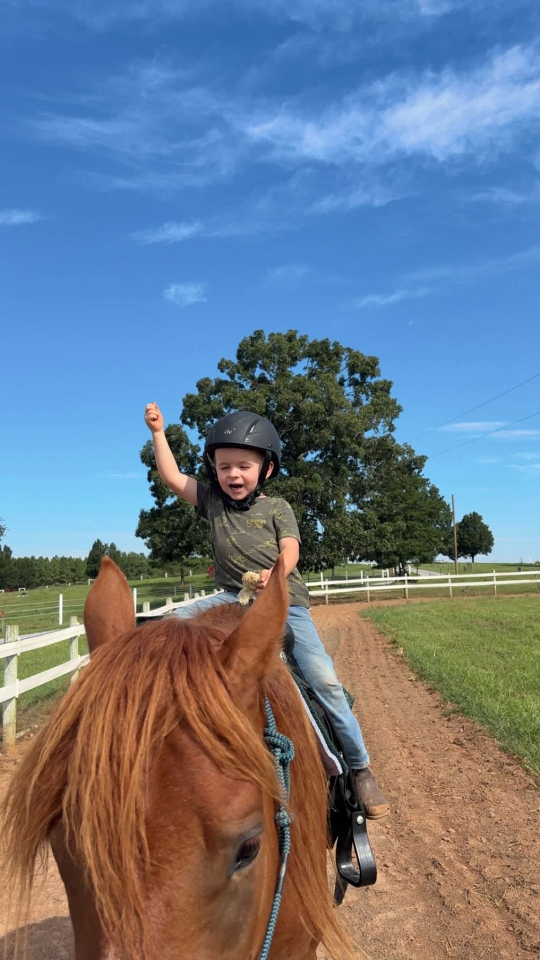 A young rider celebrating on horseback during a lesson