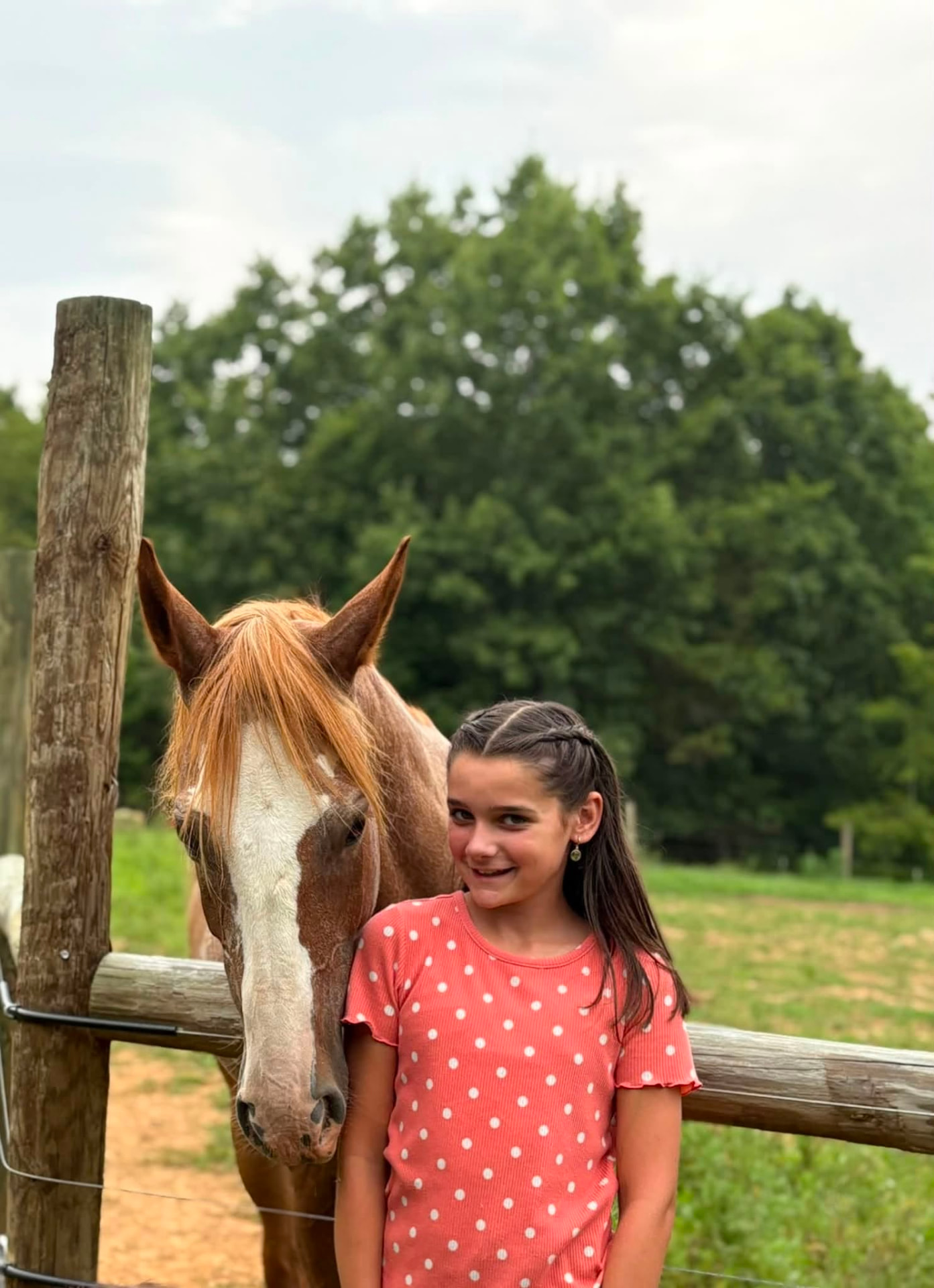 A young rider with her horse at the fence at Threefold Stables